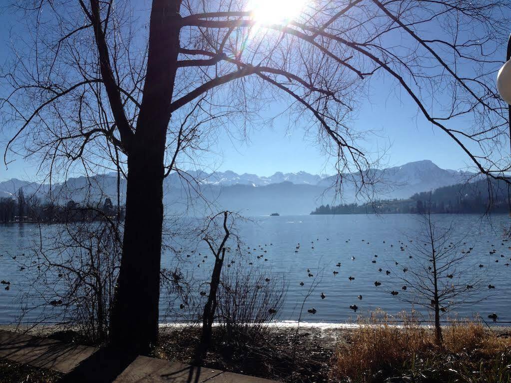 Villa Maria Luzern Exteriör bild